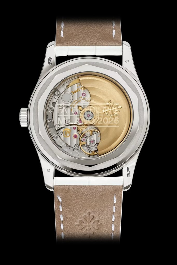 Patek Philippe 7007G-010